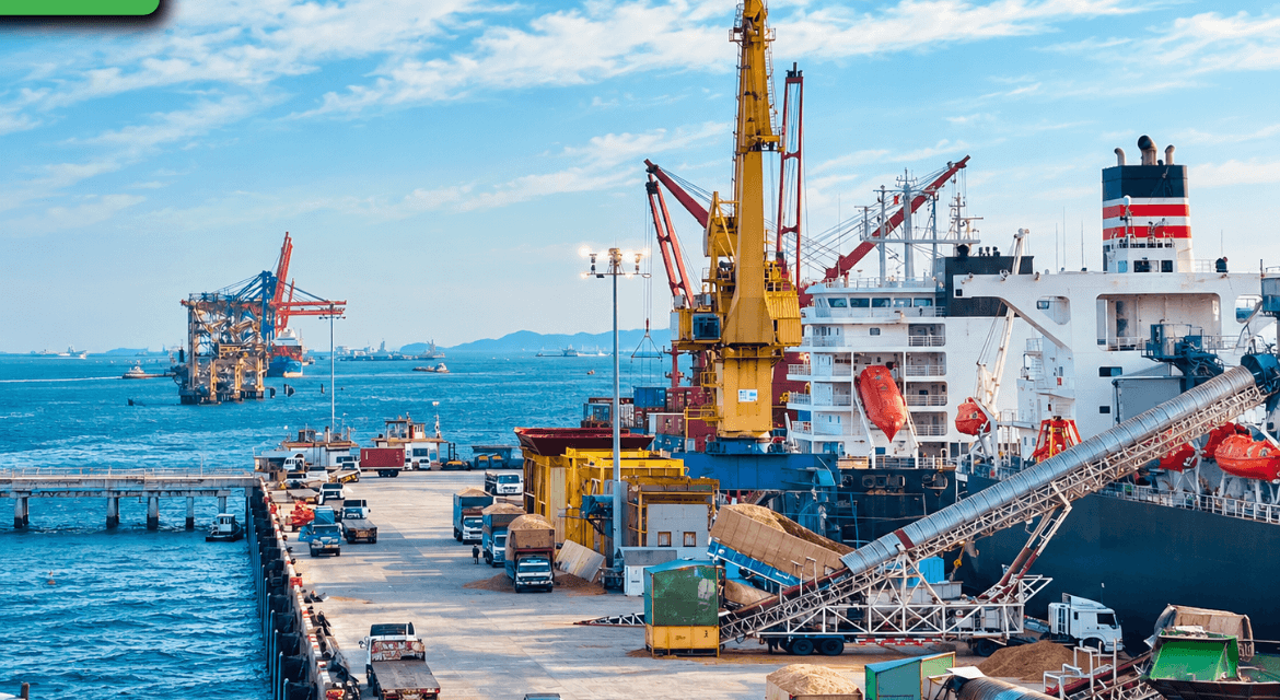 Doanh Nghiệp Xuất Nhập Khẩu Cần Làm Gì Để Hạn Chế Gián Đoạn Trong Quá Trình Giao Nhận Vận Tải?