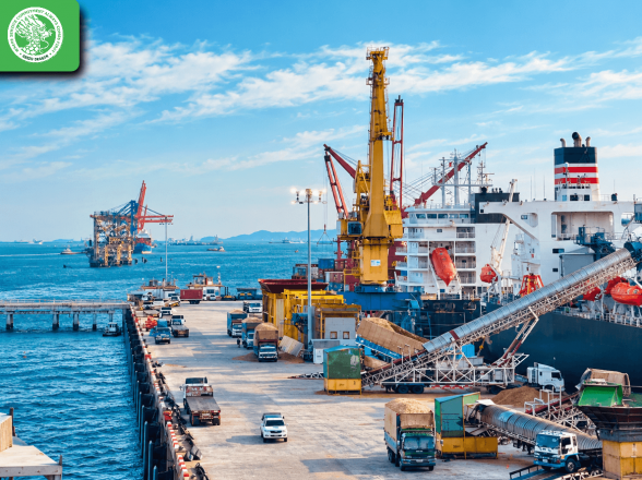 Doanh Nghiệp Xuất Nhập Khẩu Cần Làm Gì Để Hạn Chế Gián Đoạn Trong Quá Trình Giao Nhận Vận Tải?